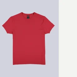 engbers Baic-hirt 