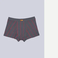 engbers Boxerhort geutert