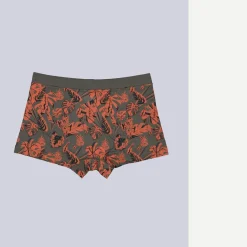 engbers Boxerhort geutert