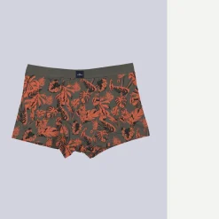 engbers Boxerhort geutert
