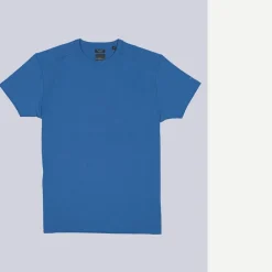 engbers T-hirt "y Favorite" organic